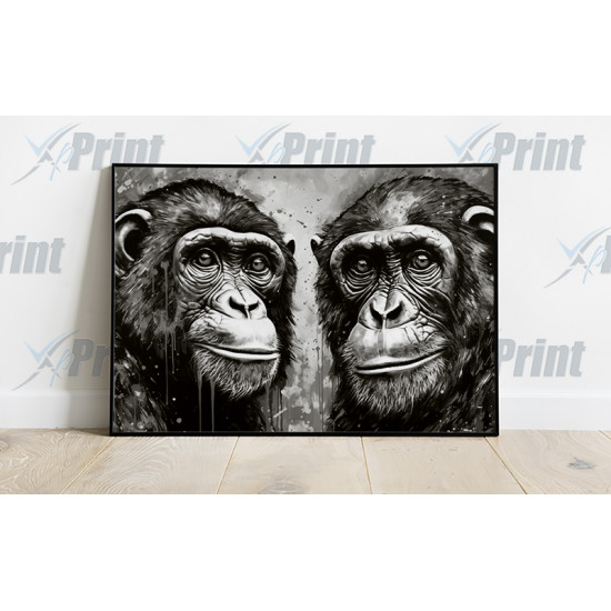 Strong Black n White Monkey Posers Art Print