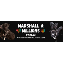 Justice For Marshall & Millions Banner 1