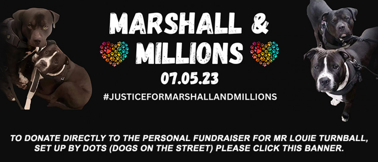 Marshall & Millions Banner